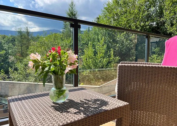 W Karkonoszach Z Widokiem Na Gory, Blisko Stokow, Obok Aquaparku, Blisko Do Wang *